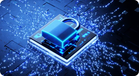 Web Application Security Testing