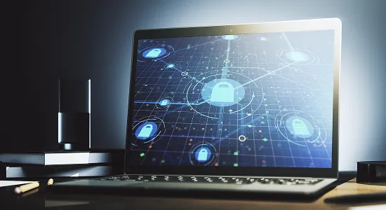 Enterprise LAN & Switching